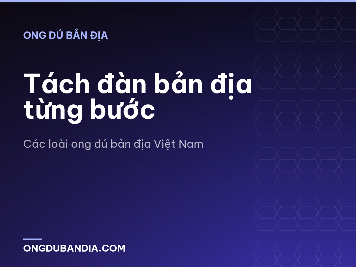 Tách đàn bản địa từng bước
