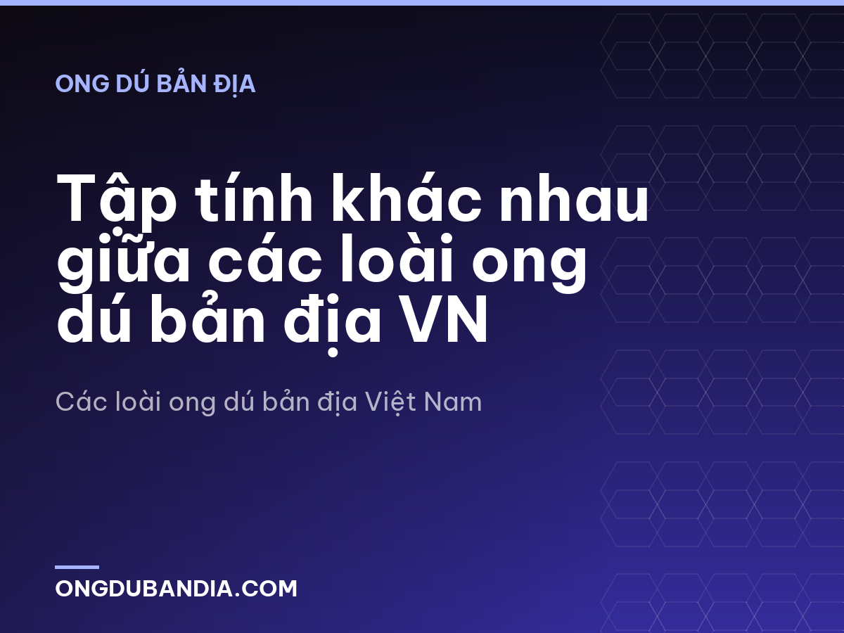 Tập tính khác nhau giữa các loài ong dú bản địa VN
