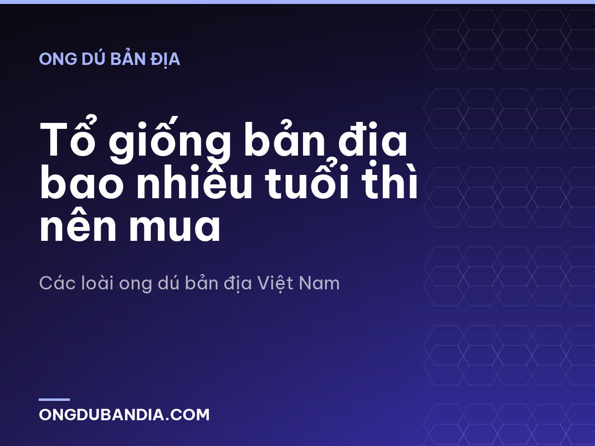 Tổ giống bản địa bao nhiêu tuổi thì nên mua