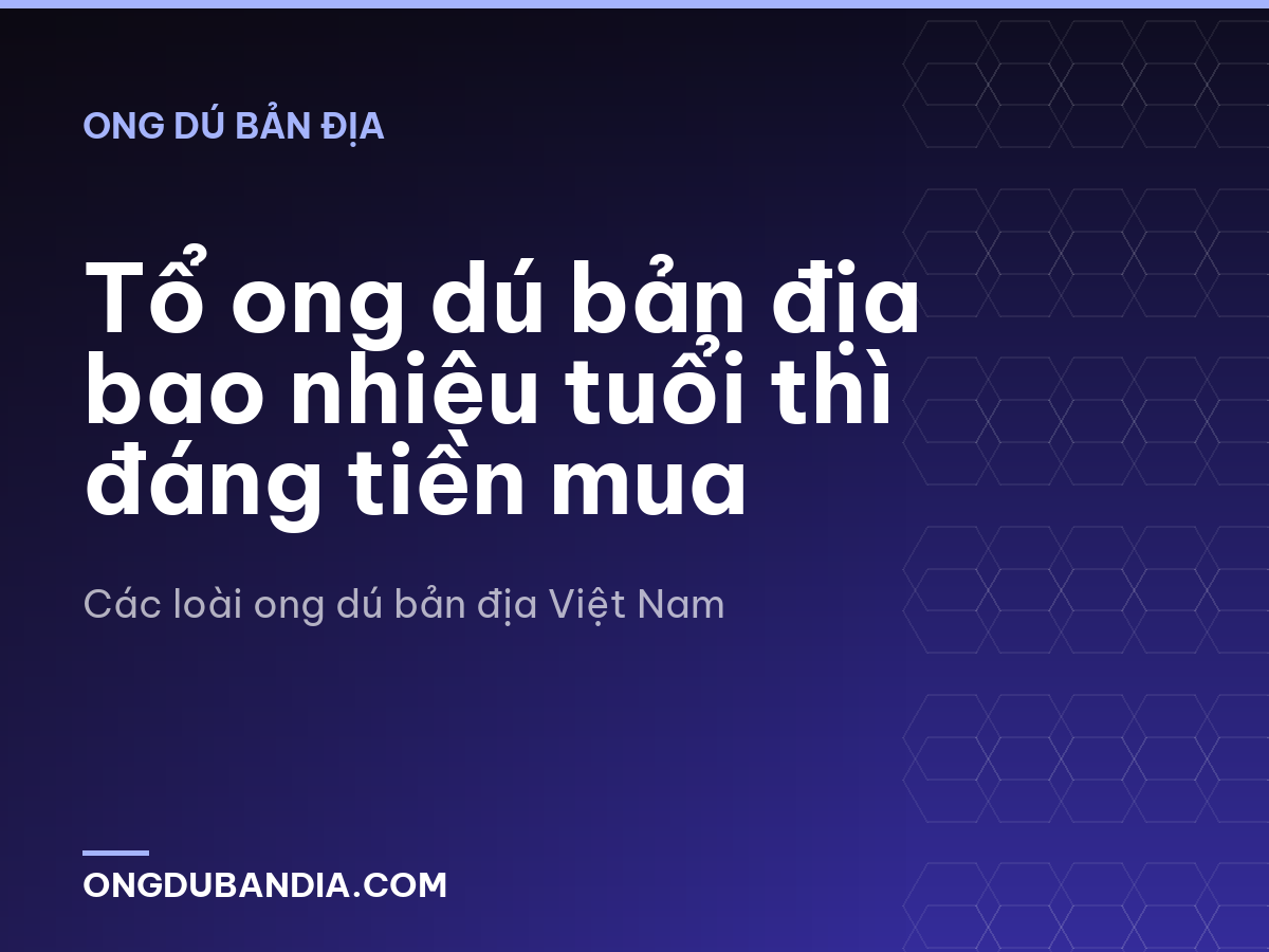 Tổ ong dú bản địa bao nhiêu tuổi thì đáng tiền mua