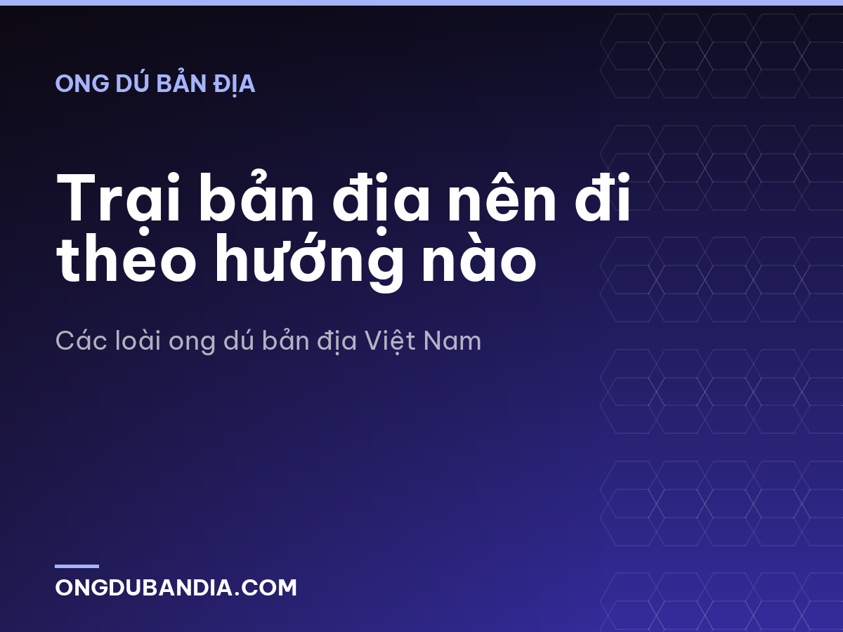 Trại bản địa nên đi theo hướng nào
