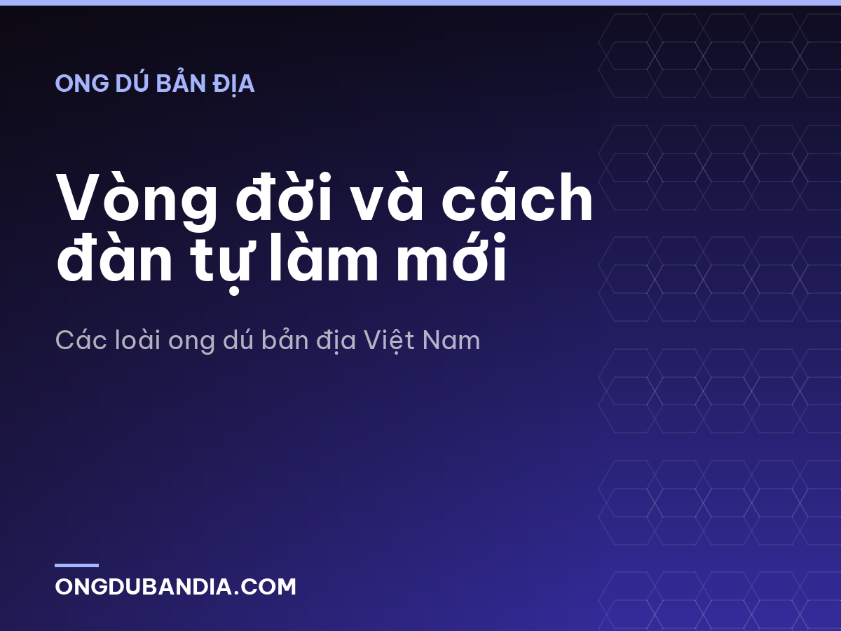 Vòng đời và cách đàn tự làm mới