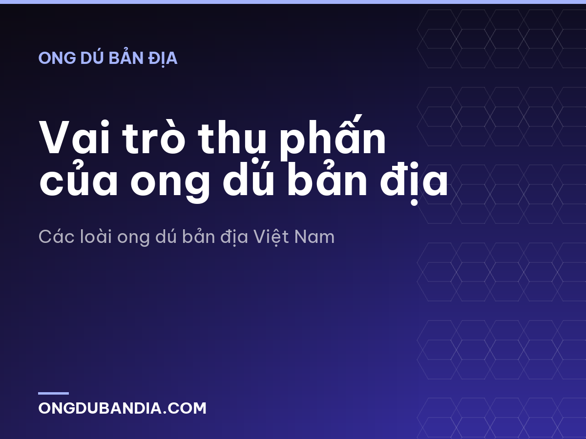 Vai trò thụ phấn của ong dú bản địa