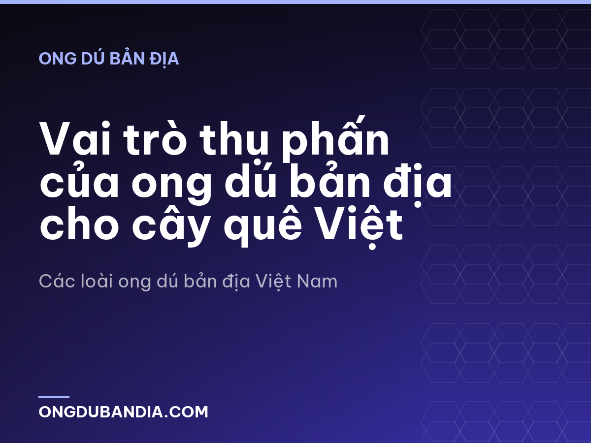 Vai trò thụ phấn của ong dú bản địa cho cây quê Việt