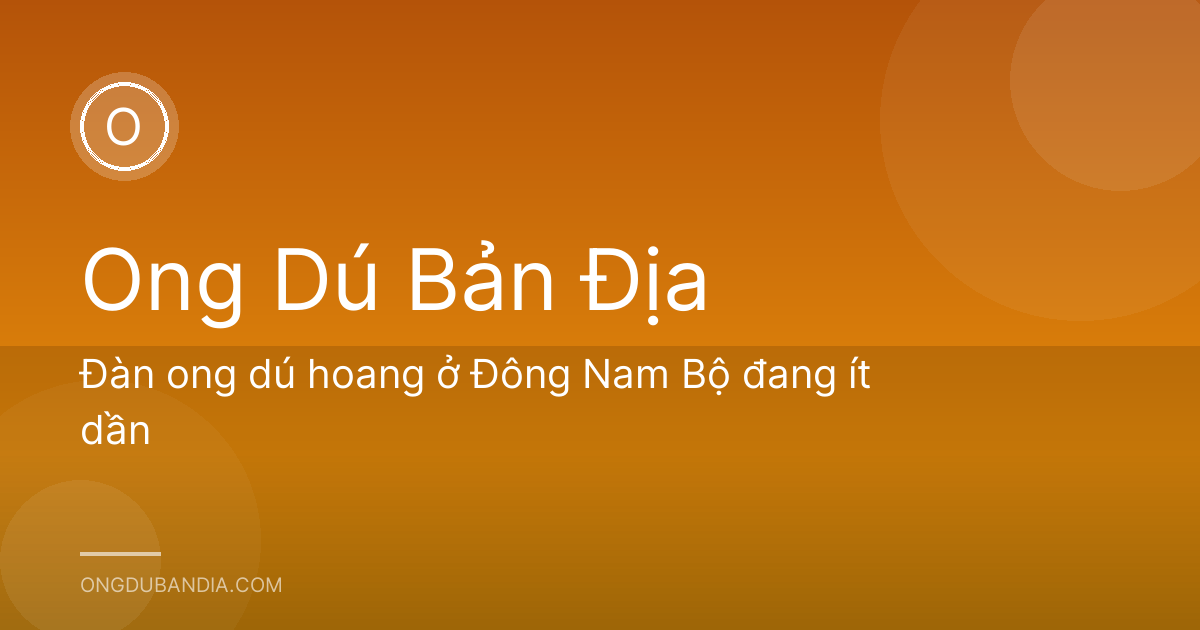 Đàn ong dú hoang ở Đông Nam Bộ đang ít dần