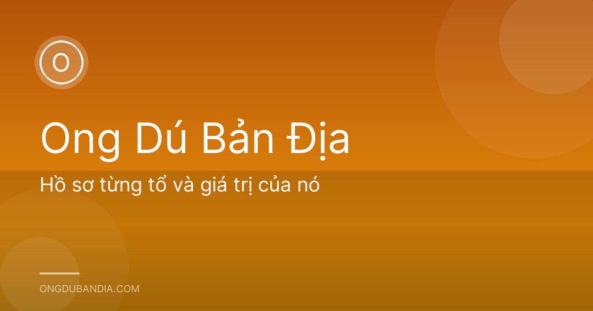 Hồ sơ từng tổ và giá trị của nó
